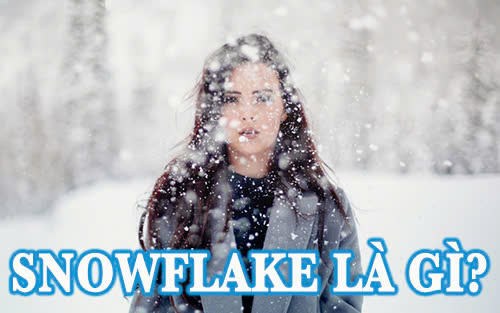 Snowflake là gì?
